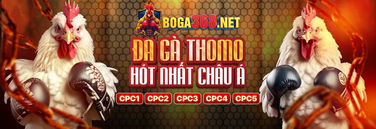 Hỗ trợ khách hàng chuyên nghiệp Vnbet77